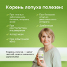Корень Лопуха в капсулах экстракт 60 шт